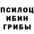 Псилоцибиновые грибы мухоморы S_Moozzy